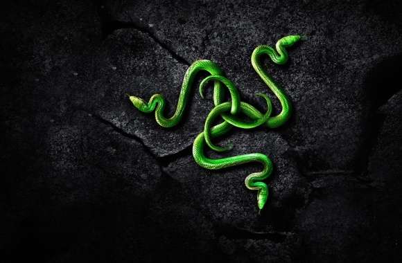 Razer Technology A Striking Green Serpent Design