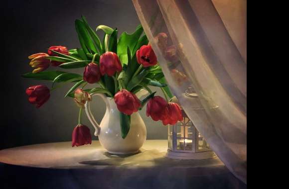 Red Flower Curtain Candle Lantern Vase Tulip Photography Still Life