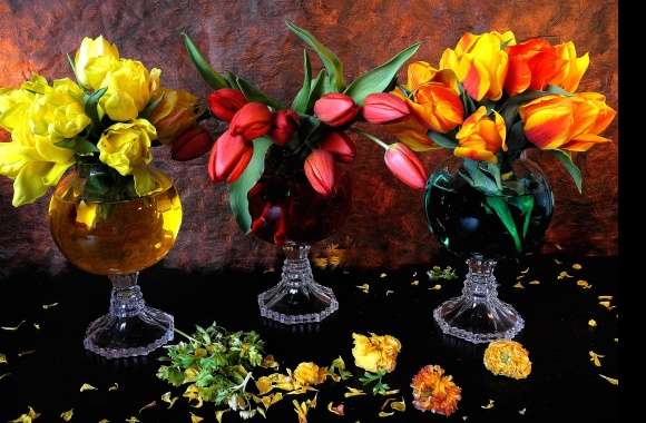 Red Flower Yellow Flower Vase Colorful Colors Tulip Flower Photography Still Life