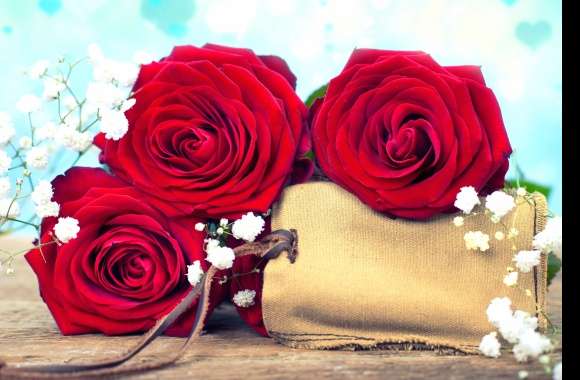 Red Rose Red Flower White Flower Flower Rose Heart-shaped Bokeh Photography Still Life