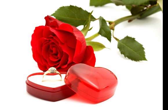 Red Rose Ring Rose Photography Love