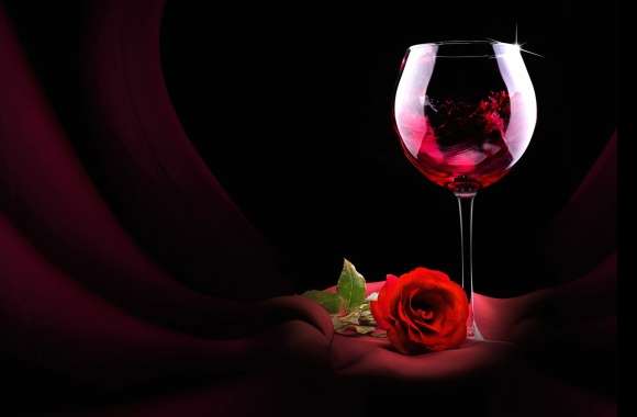 Red Rose Rose Glass Wine Photography Still Life