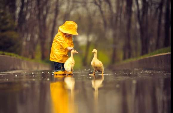 Reflection Cute Goose Raincoat Little Boy Photography Child