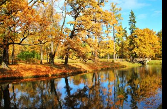 Reflection Fall Tree Lake Nature Photography Park