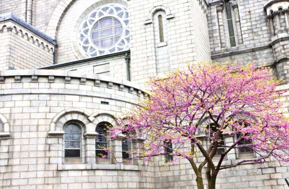 Religious Cathedral Basilica Of Saint Louis