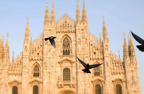 Religious Milan Cathedral