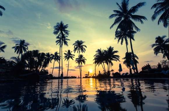 Resort Reflection Water Palm Tree Photography Sunset