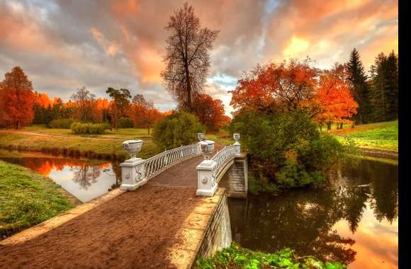 River Bridge Tree Fall Photography Park