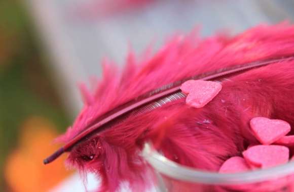Romantic Feathered Hearts wallpapers hd quality