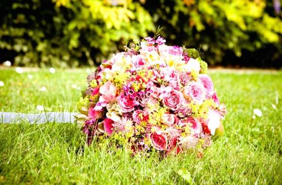 Rose Flower Bouquet Holiday Wedding wallpapers hd quality