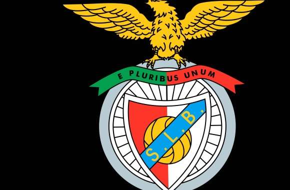 S.L. Benfica Sports wallpapers hd quality