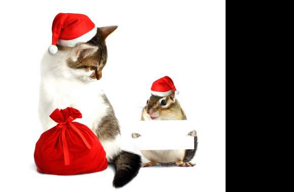 Santa Hat Hamster Cat Holiday Christmas