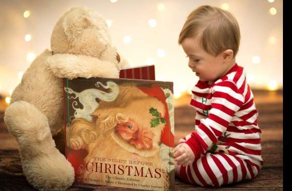 Santa Teddy Bear Book Ba