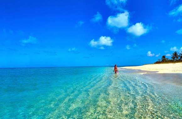 Sea Summer Blue Horizon Beach Photography Tropical