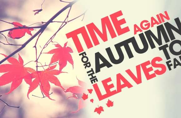 Season Photography Fall wallpapers hd quality