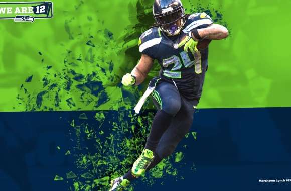 Seattle Seahawks We Are 12 Edition wallpapers hd quality