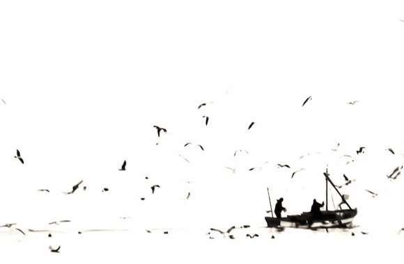 Serene Black & White Fishing Scene - wallpapers hd quality