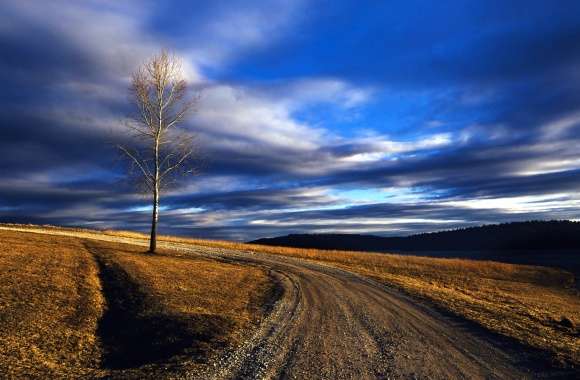 Serene Countryside Road A HD Landscape Experience