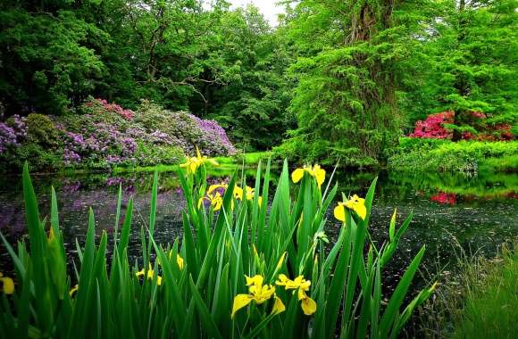 Serene Garden HDR