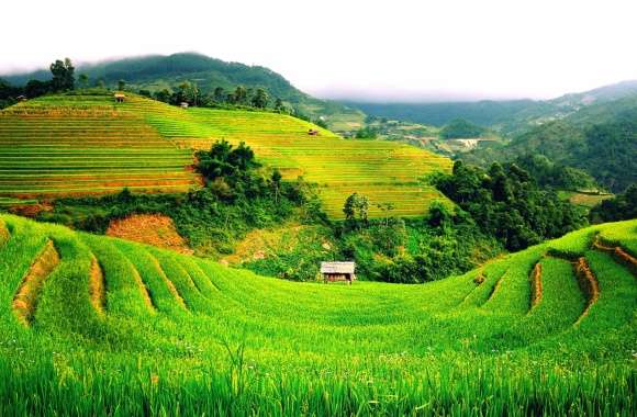 Serene Green Hills of Vietnam A Stunning