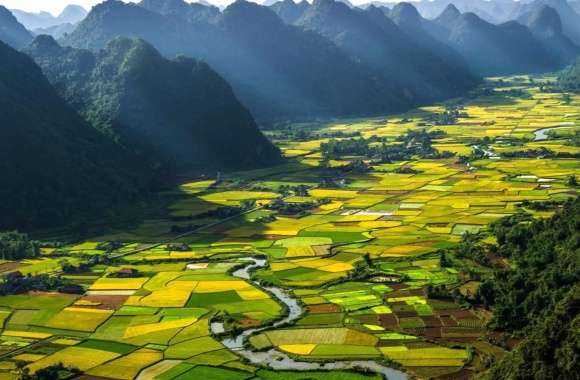 Serene Green Rice Terraces of Vietnam -