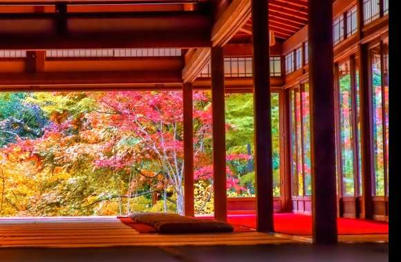 Serene Japanese Fall -