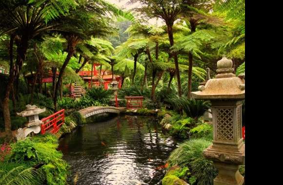 Serene Oriental Garden -