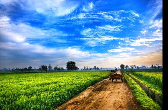 Serene Pakistani Countryside HD Landscape Wallpaper