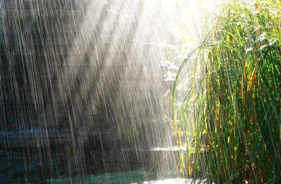 Serene Rainfall A Stunning wallpapers hd quality