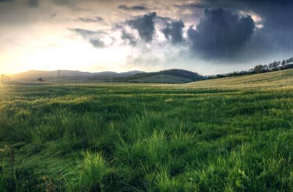 Serene Rainy Landscape for Nature Lovers