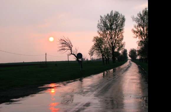 Serene Sunset Road -