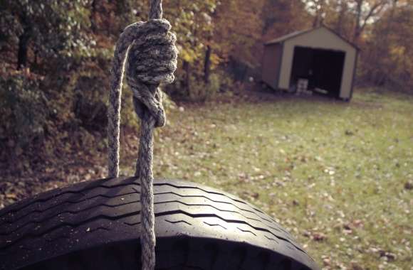 Serene Tire Swing in Autumn -