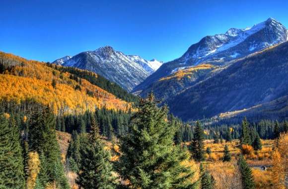 Serene Wilderness of Autumn Mountains and Lush Forests