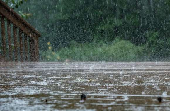 Serenity in Rain of a Bridge and Water Drops