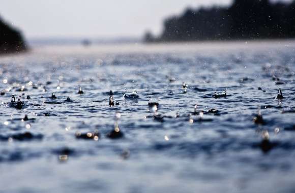 Serenity in Rainfall