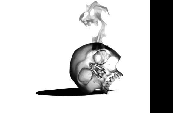 Shadow Skull wallpapers hd quality