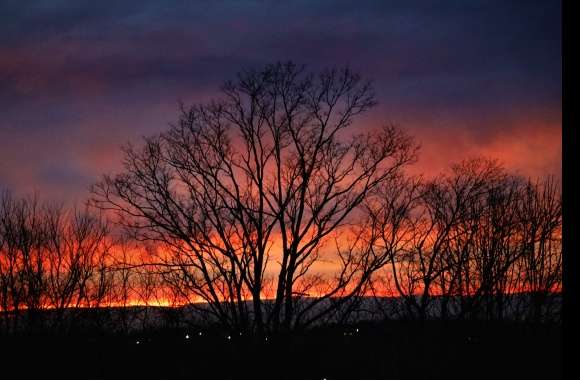 Silhouette Photography Sunset