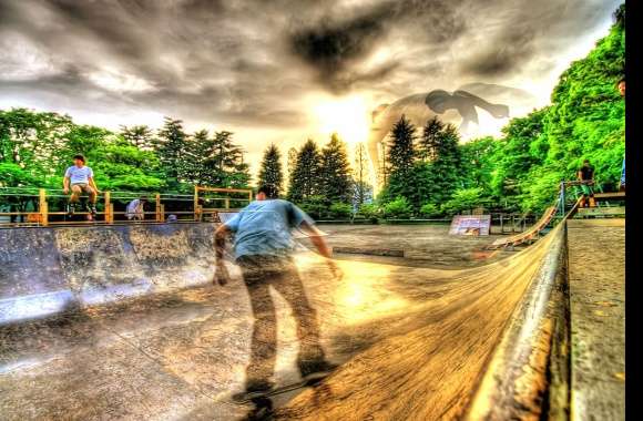 Skateboarding Vibes from the Park Adventures