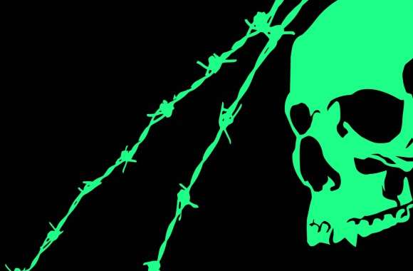 Skull BlackGreen wallpapers hd quality