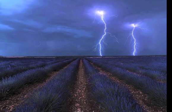 Sky Storm Lavender Photography Lightning Wallpaper