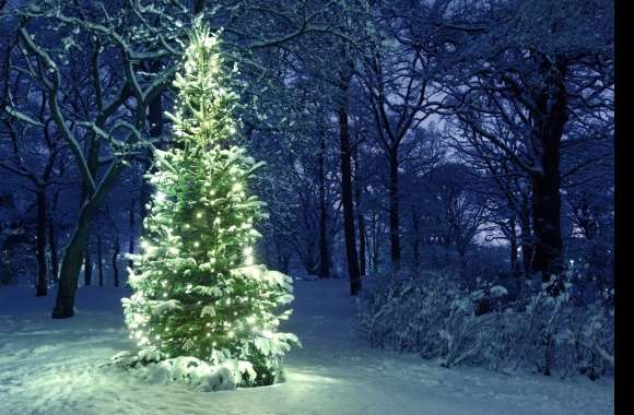 Snow Winter Christmas Tree Holiday Christmas wallpapers hd quality