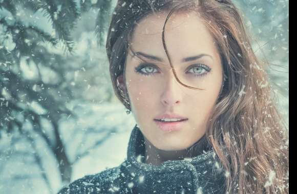 Snowfall Beauty