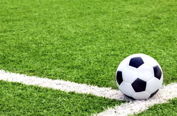 Soccer Ball on Fresh Green Field