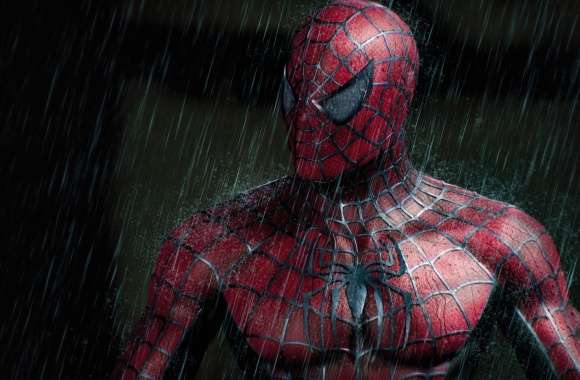 Spider-Man in the Rain wallpapers hd quality