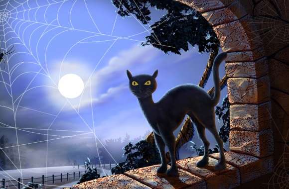 Spider Web Spider Full Moon Cat Holiday Halloween