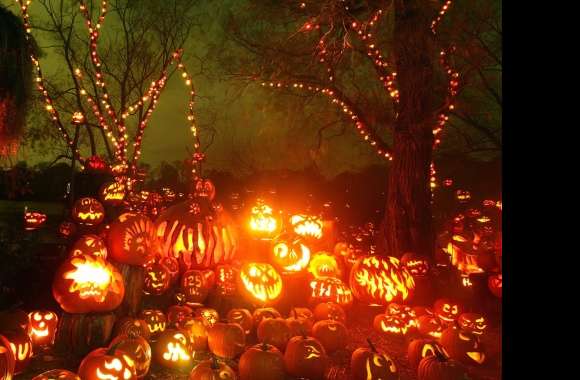 Spooky Halloween Pumpkin Wonderland -