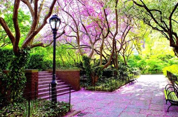 Spring Park Path