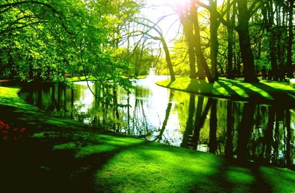 Spring Pond River Tree Green Photography Park