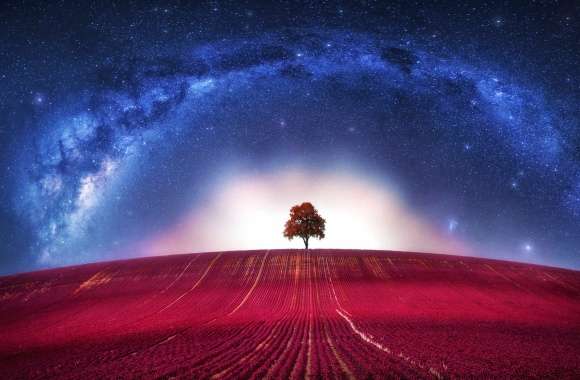 Star Sky Milky Way Field Tree Lonely Tree Photography Manipulation