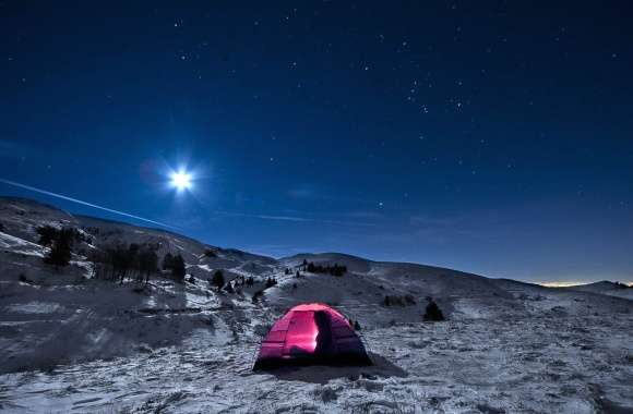 Starry Night Camping Experience